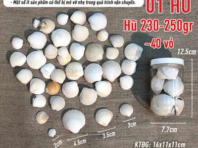 Vỏ sò lông trắng 2-5cm Hủ 230-250gr (35-40 cái) VOSO-LONG-01